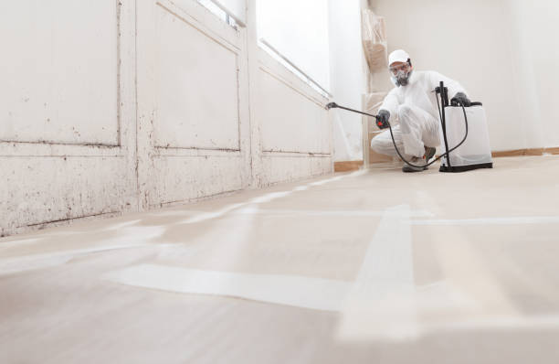 24/7 Emergency Commercial Mold Remediation experts in Franklin, KY